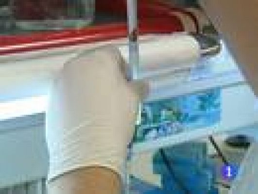 Telediario 1 - Barbacid, acusa al Gobierno de paralizar una investigación contra el cáncer de pulmón