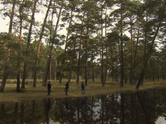 Crónicas - El bosque habitado - Avance