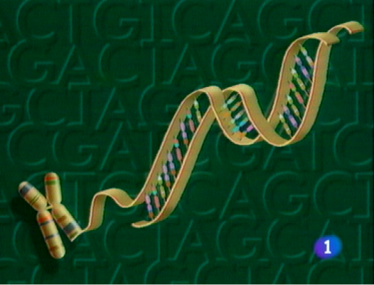 Panorama Regional - Panorama Regional en 2' - 06/05/11