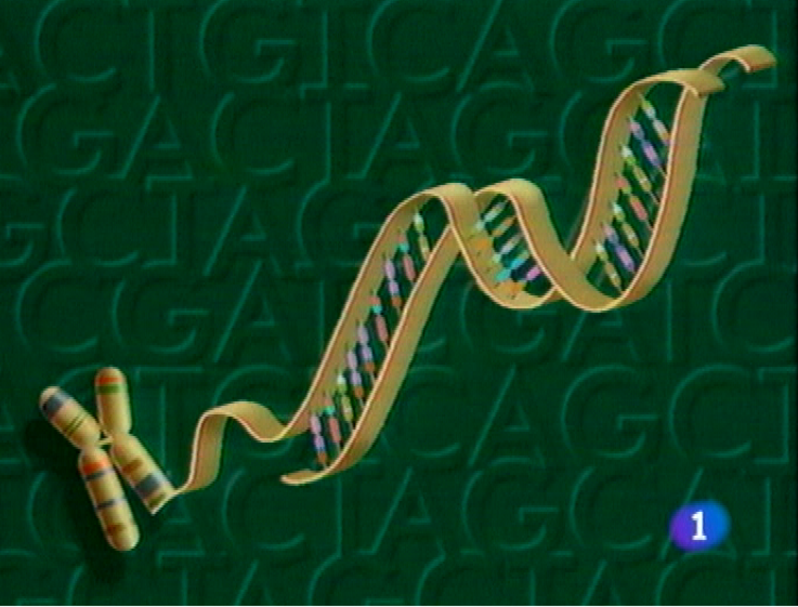 Panorama Regional - 06/05/11 | Ver