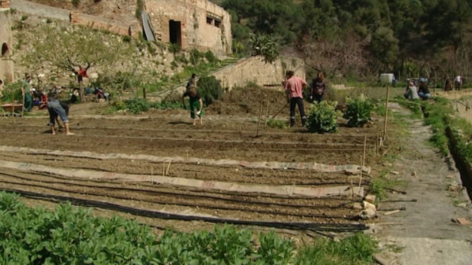 El escarabajo verde - Una "kasa" en las afueras - Parte 1