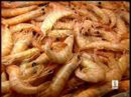  - Entramos en la Feria de las Tapas