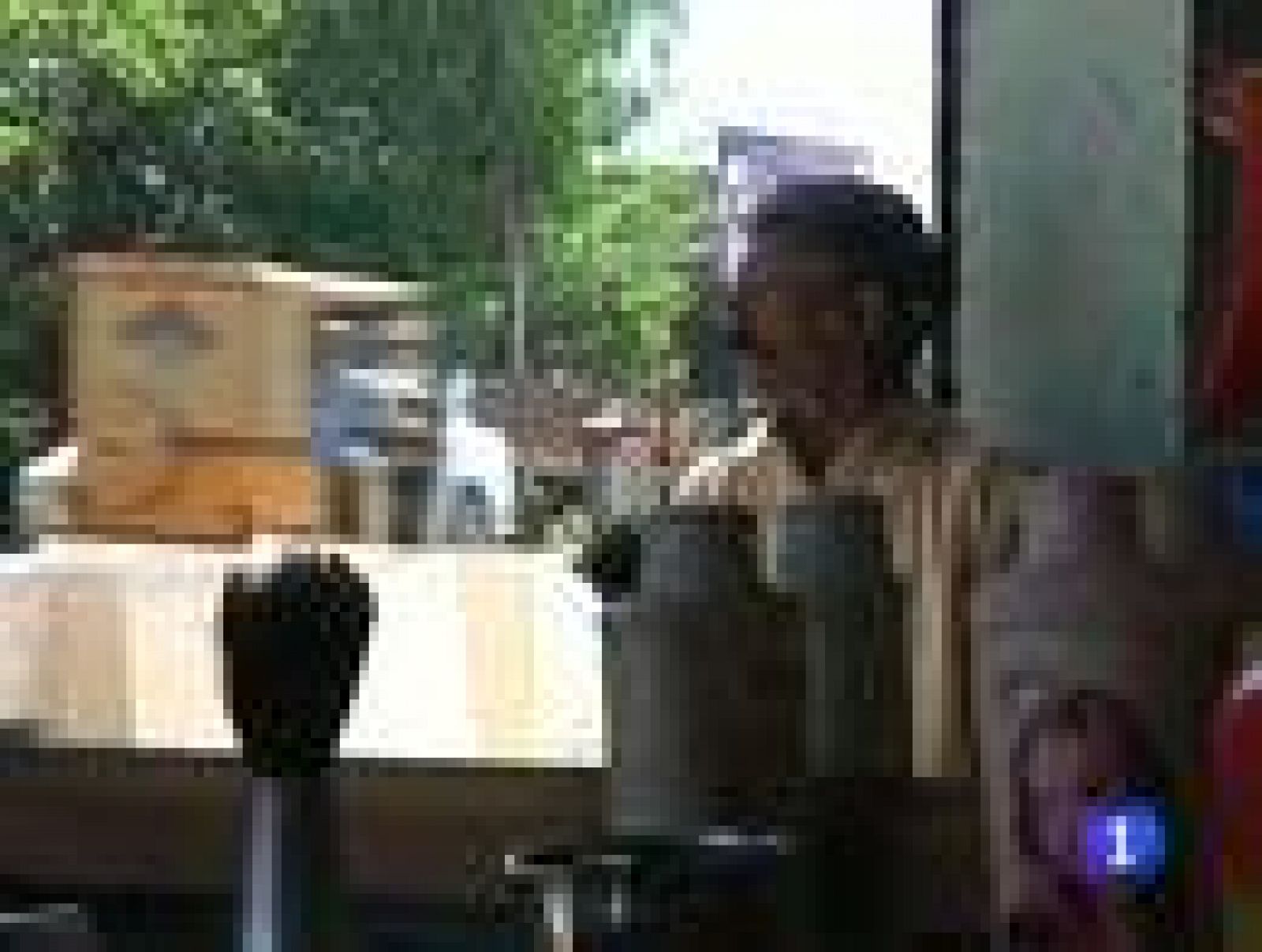 La familia de Bin Laden, bajo custodia