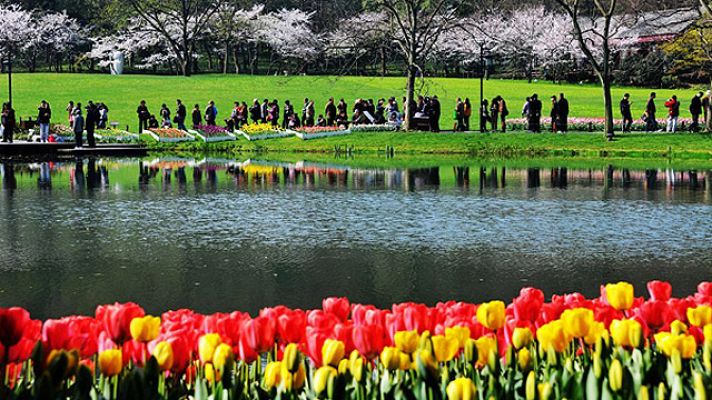 On Off - Estallido de colores