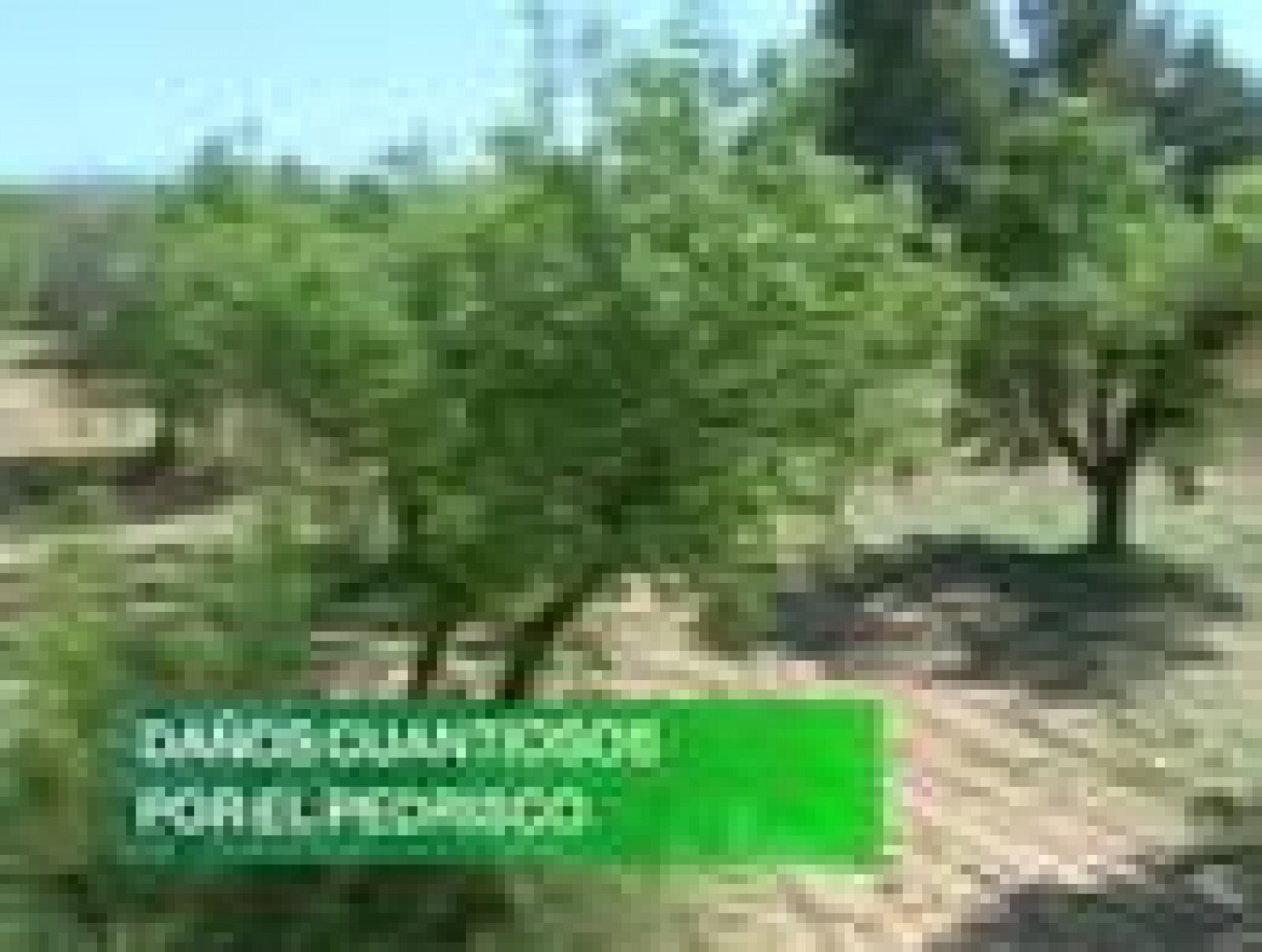 La Comunidad de Murcia en 2'.- 09/05/2011. | Ver