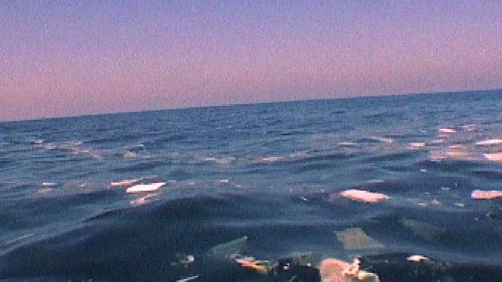 La Unión Europea prepara un plan para mejorar el medio ambiente y el empleo de los pescadores