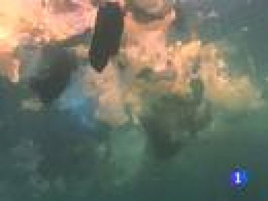 Telediario 1 - Plan medioambiental de la UE