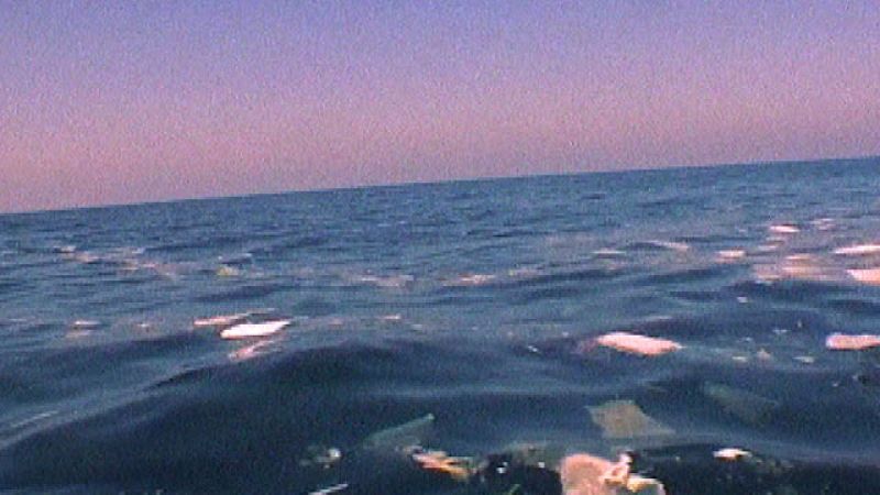 La Unión Europea prepara un plan para mejorar el medio ambiente y el empleo de los pescadores