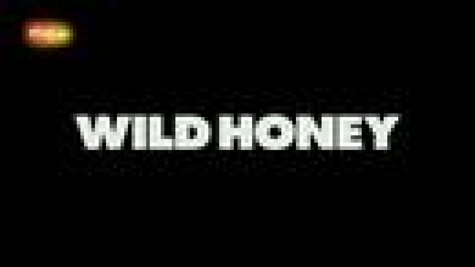 Wild Honey - 1918-1920