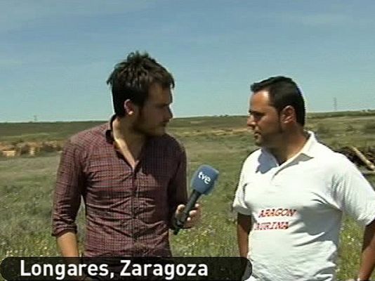 España Directo - Un toro siembra el pánico