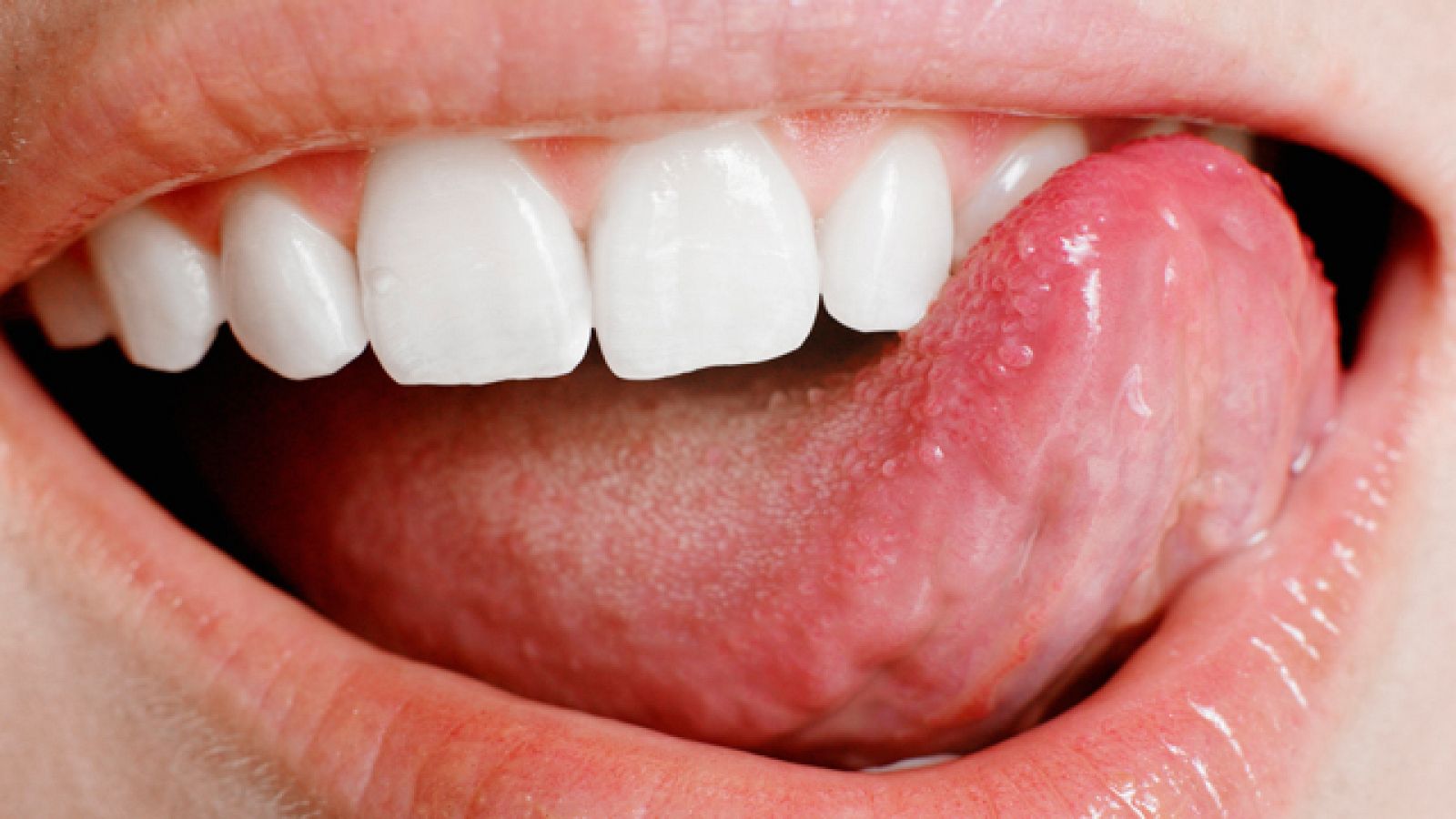 Saber vivir - 10/05/11 - Ver ahora