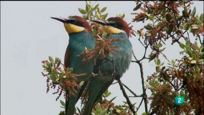 Biodiario - Biodiario - 10/05/11