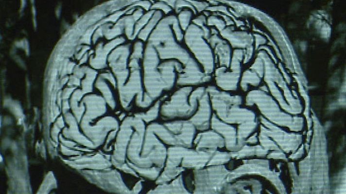 Premios Princesa de Asturias - Howard Gardner,Príncipe de Asturias