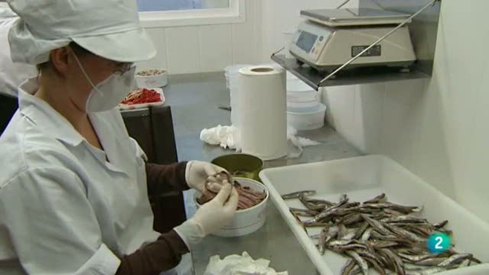 Para Todos La 2 - El boqueron, la anchoa y el bocarte