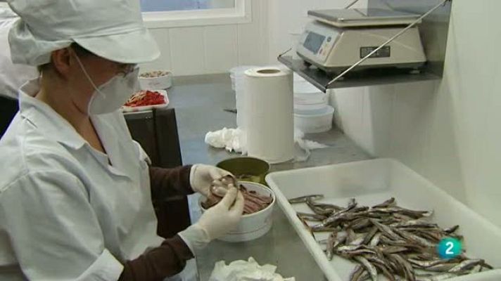 Para todos La 2 - El boqueron, la anchoa y el bocarte