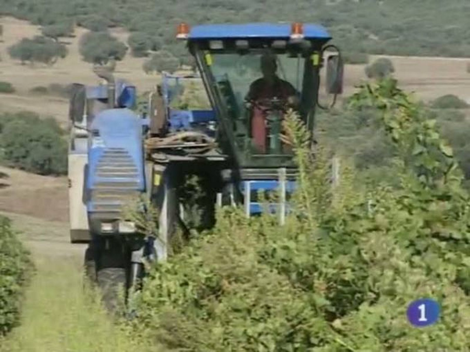 Noticias de Castilla La Mancha. Informativo de Castilla La Mancha. (11/05/2011)