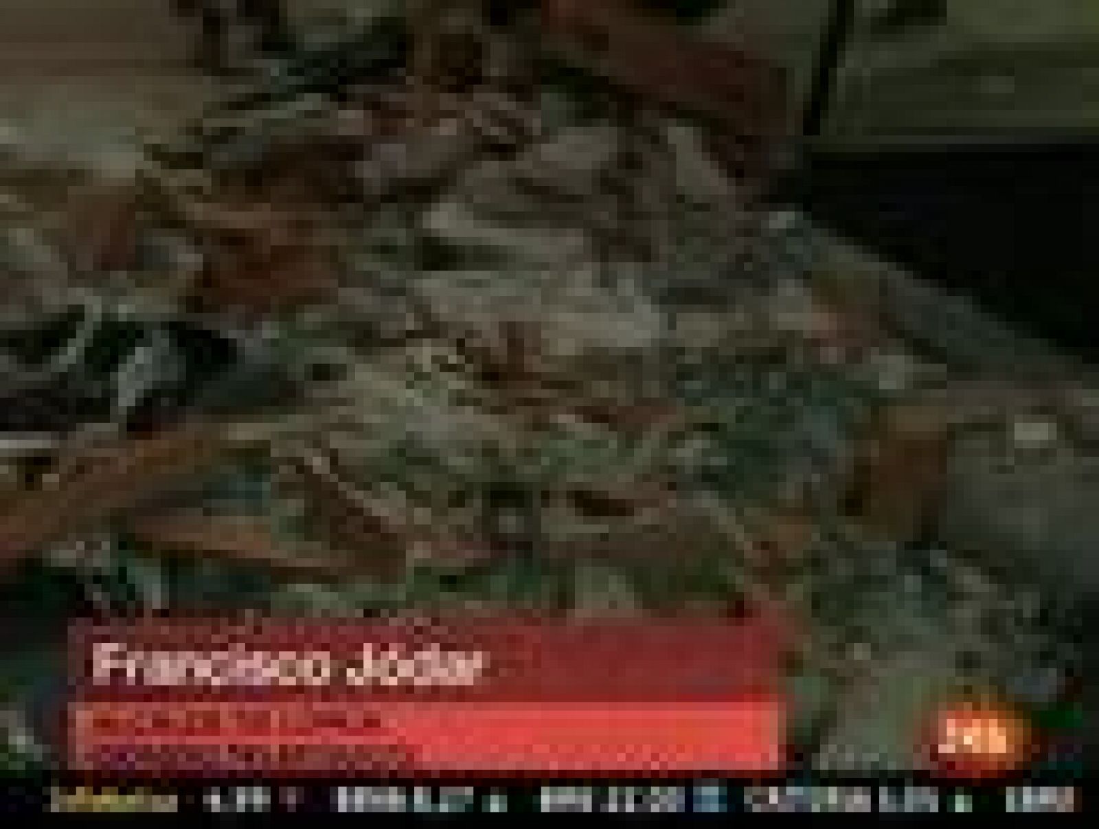 El alcalde de Lorca dice que podría haber entre dos y cinco muertos por los terremotos