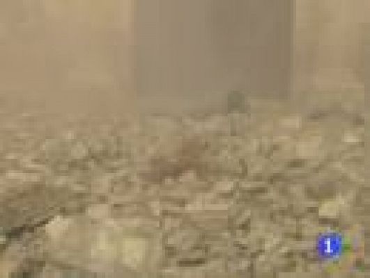 Telediario 1 - Una decena de personas mueren tras dos terremotos en Murcia