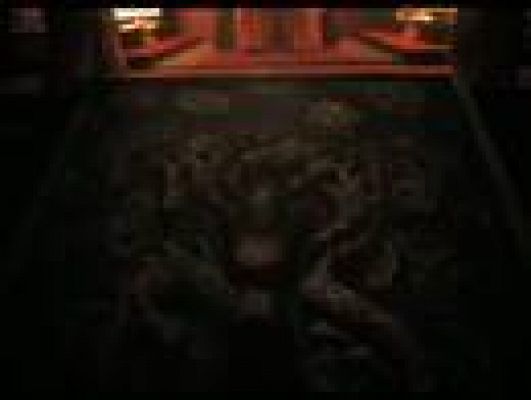 Cultura en Rtve.es - Tráiler de 'El equipo Tigre'