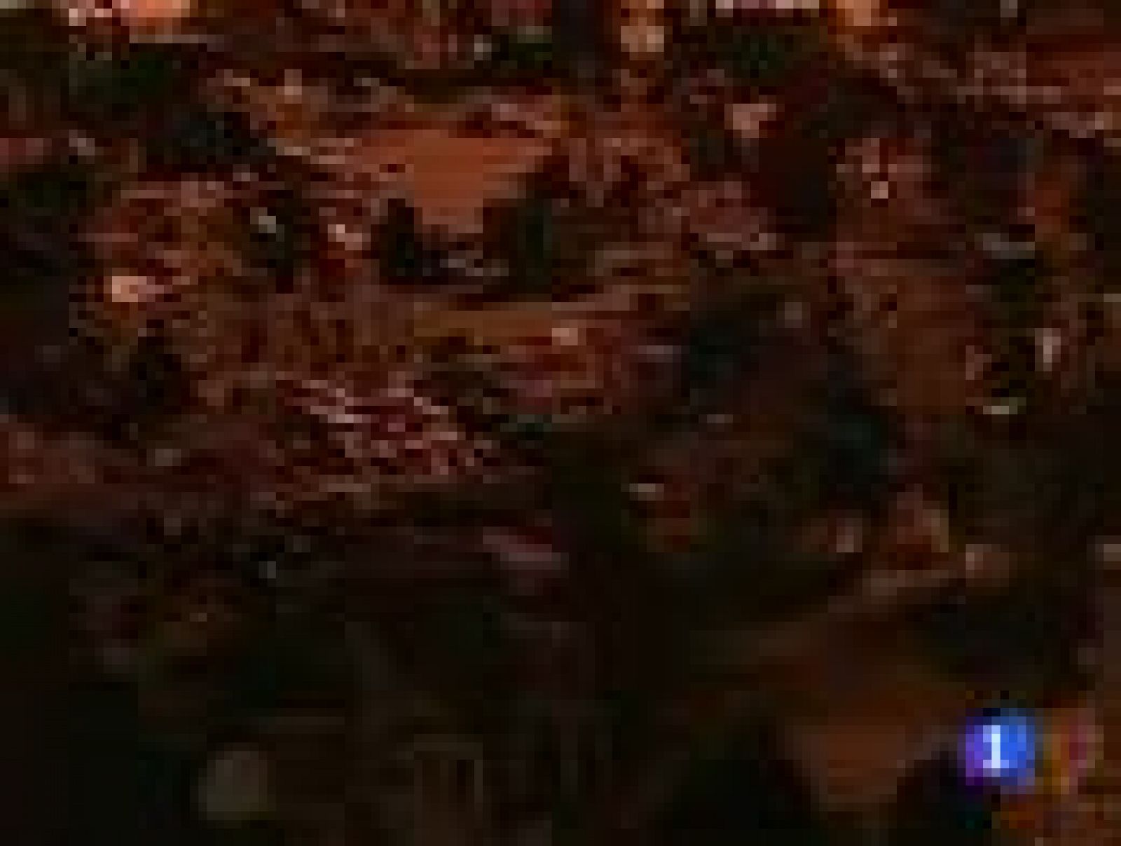 En Lorca, se estima que 30.000 personas han pasado la noche al raso por miedo a las réplicas