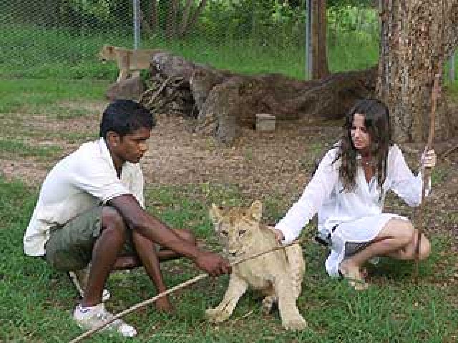 Españoles en el mundo - Isla Mauricio - Tomas falsas