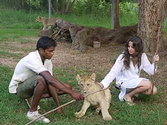 Españoles en el mundo - Isla Mauricio - Tomas falsas