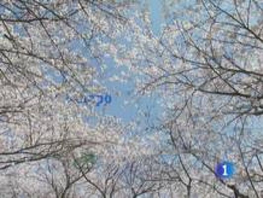 El tiempo - Lluvias en el centro