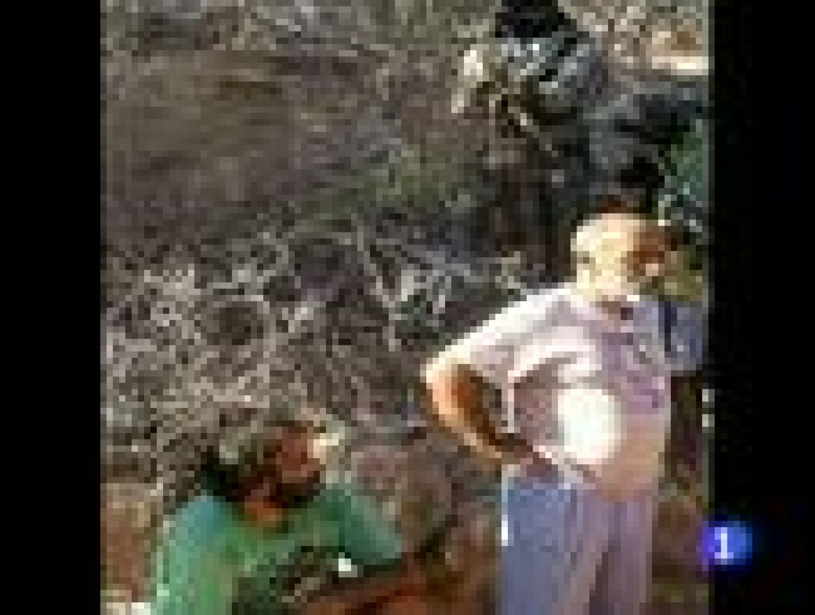 Liberados los dos marineros gallegos secuestrados por piratas somalíes