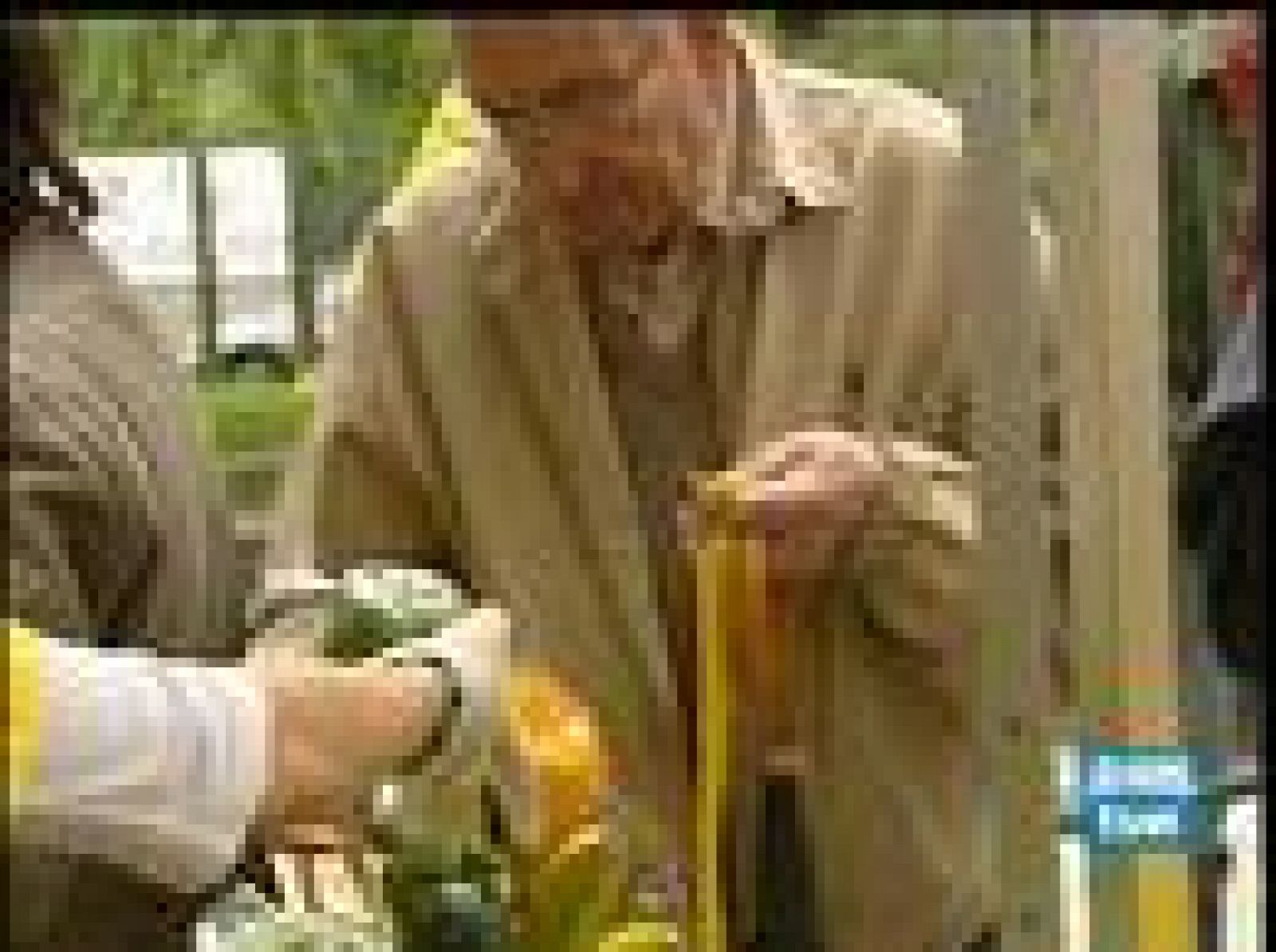 Los agricultores denuncian el sobreprecio en los alimentos | Ver