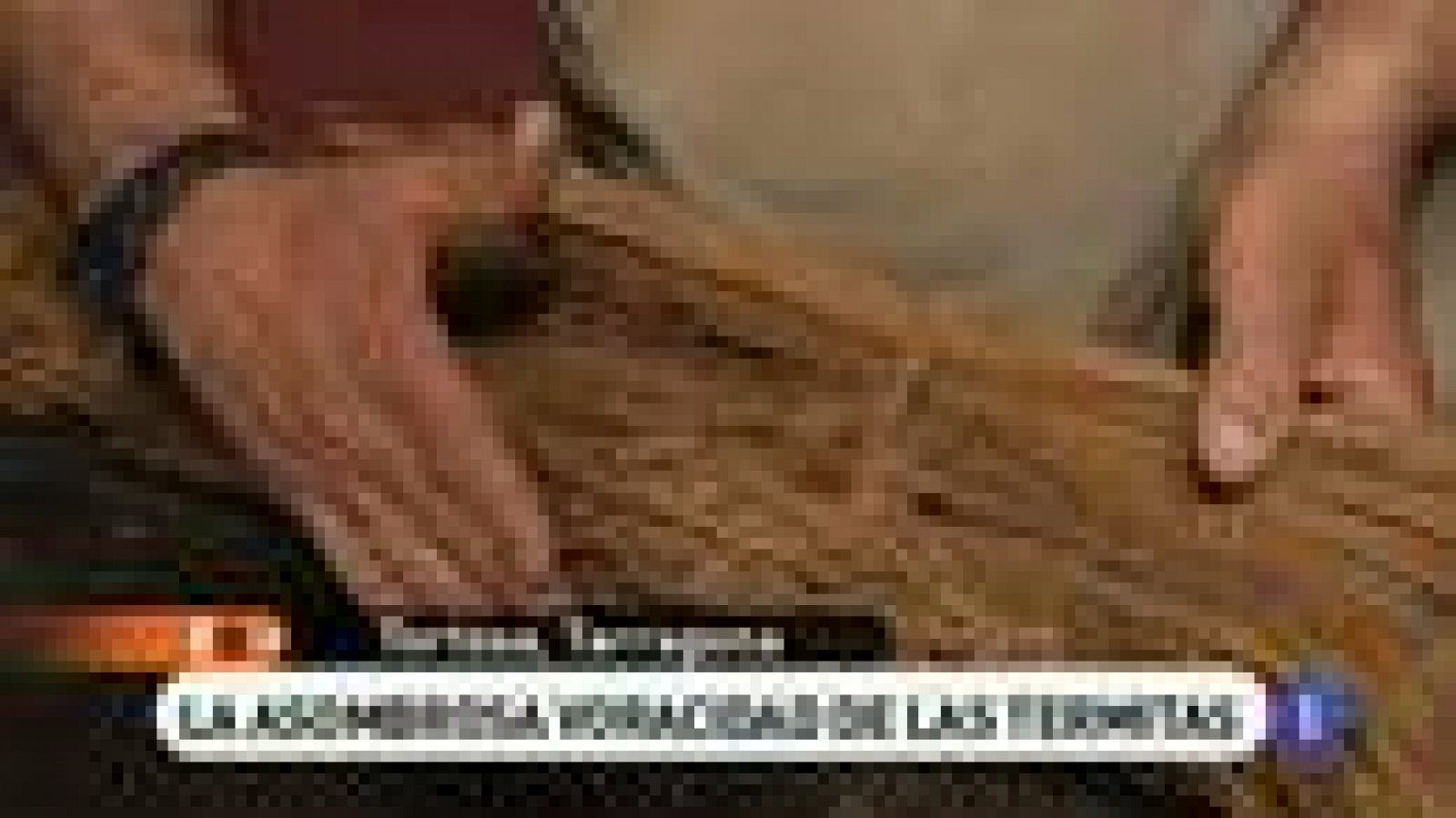 España Directo: Termitas voraces | RTVE Play