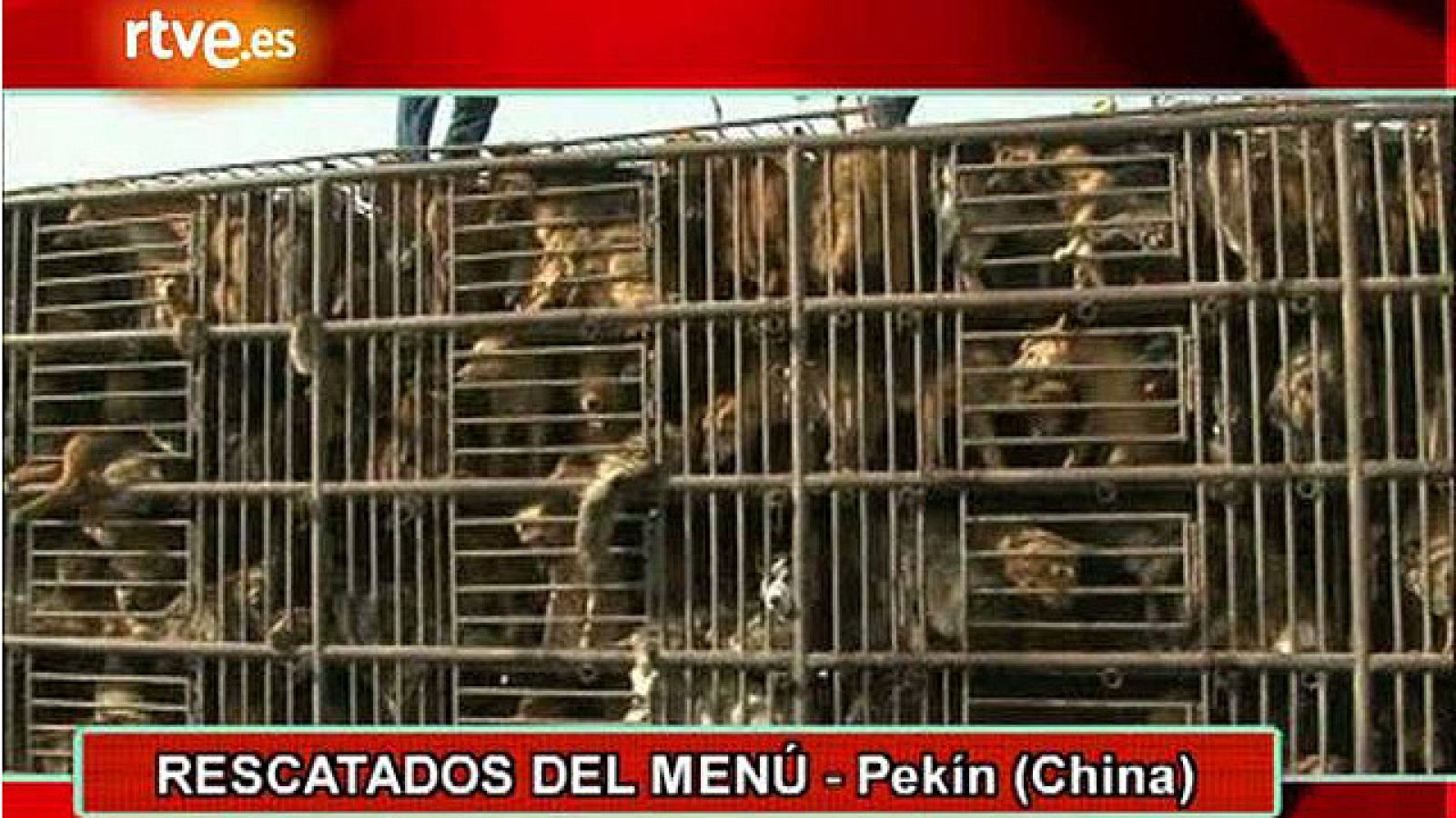 On Off: Rescatados del menú - On Off | Ver