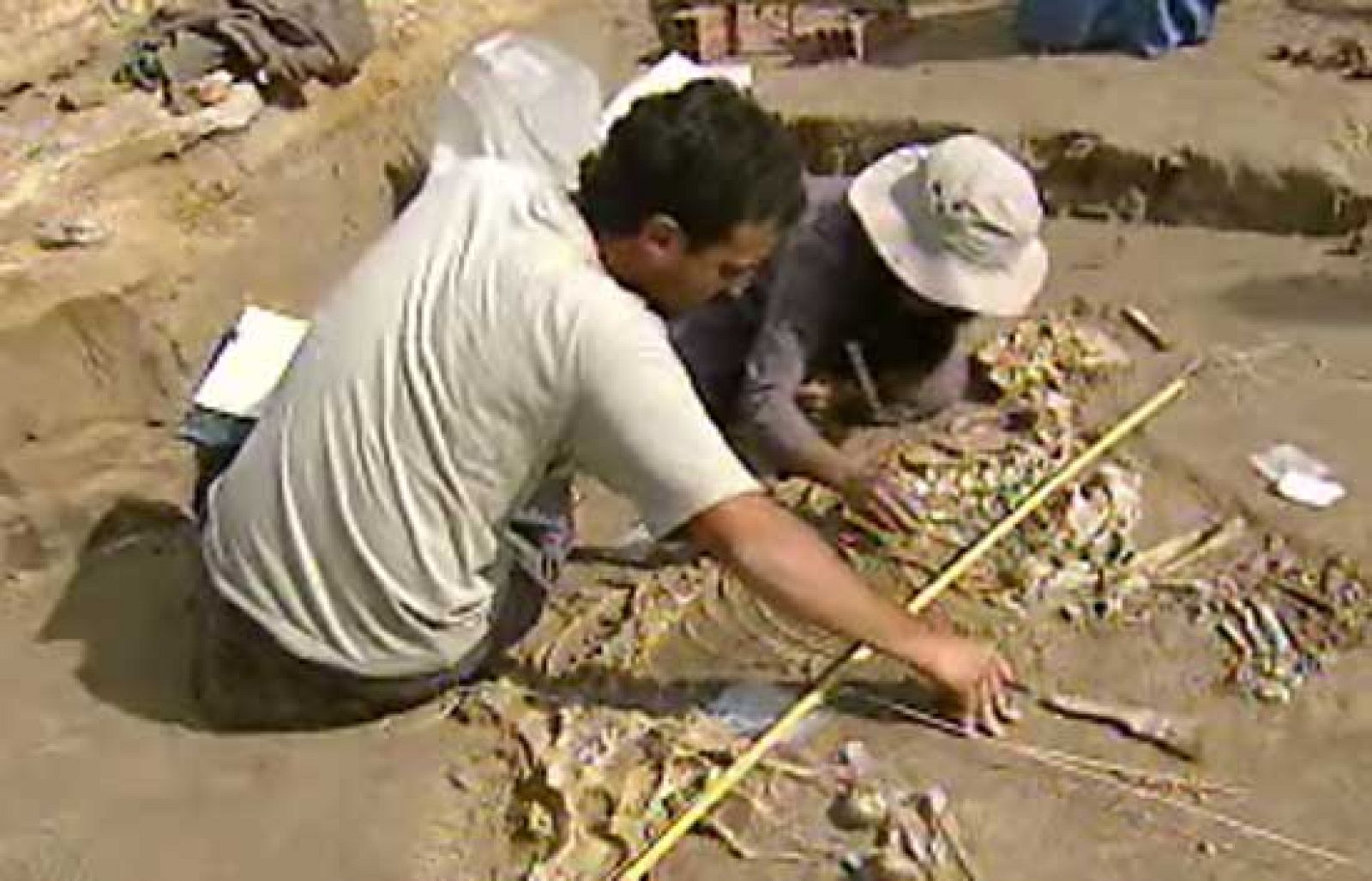 Encuentran el fósil de un tapir completo en Gerona - Ciencia y tecnología en Rtve.es | Ver