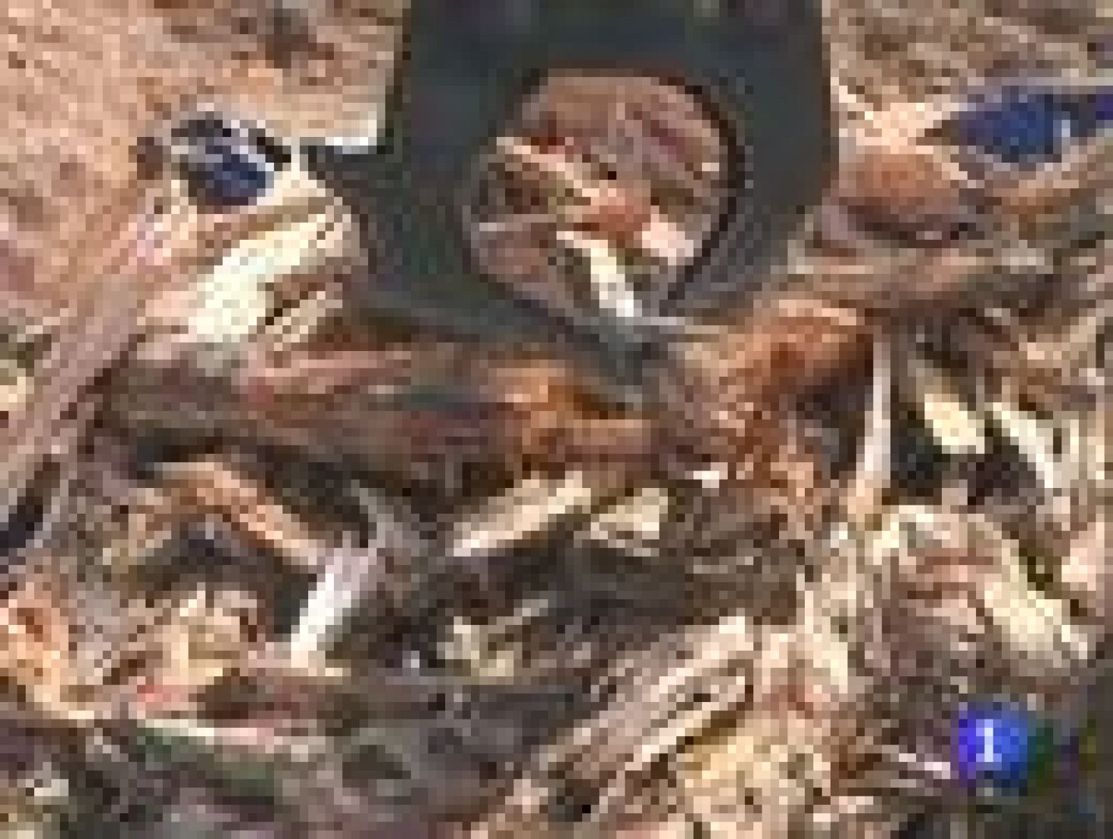 Sigue la reconstrucción de las poblaciones más afectadas del terremoto de Japón