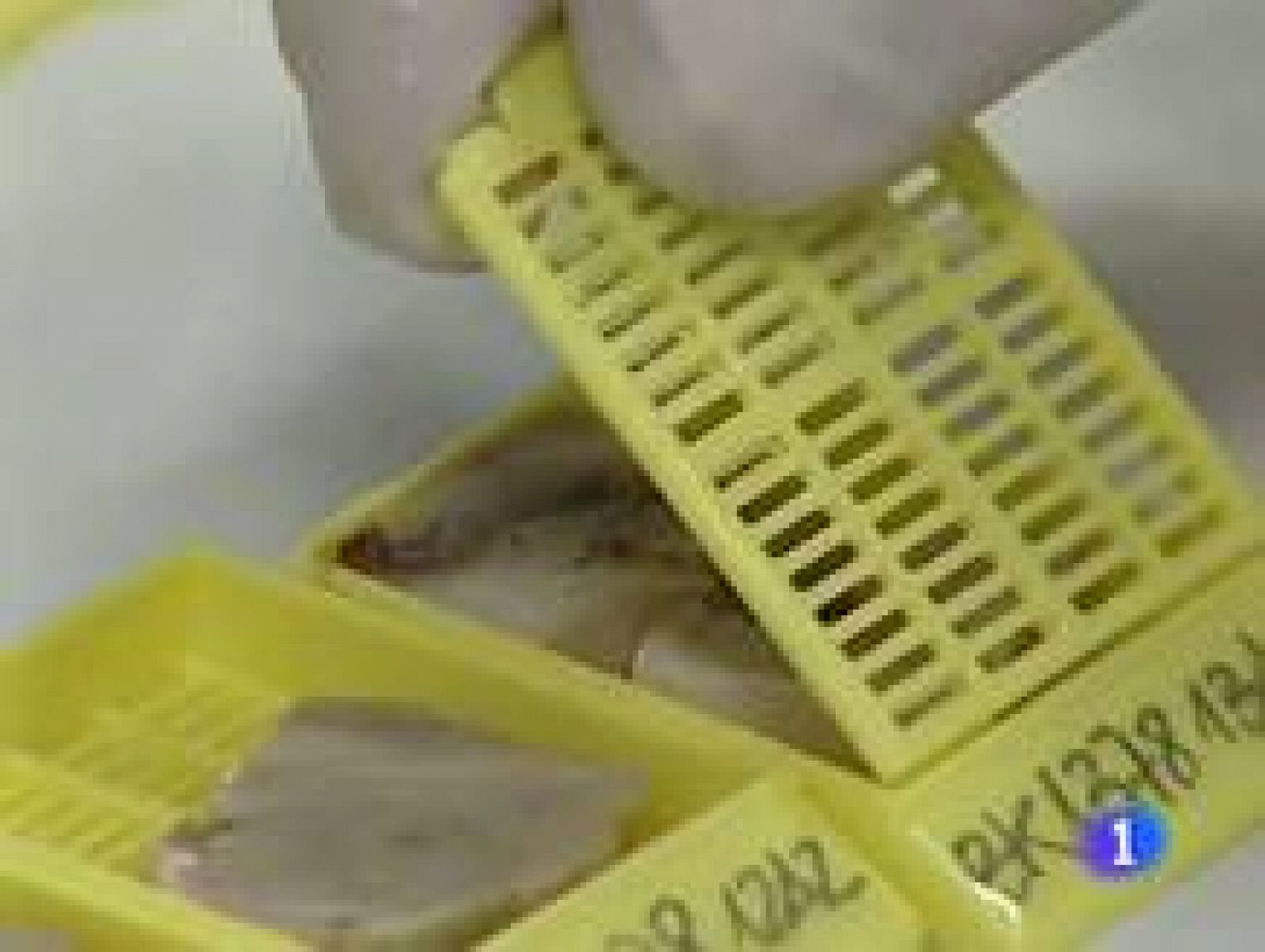 Un 10 por ciento de los enfermos de alzheimer desarrolla la enfermedad antes de los 65 años | Ver