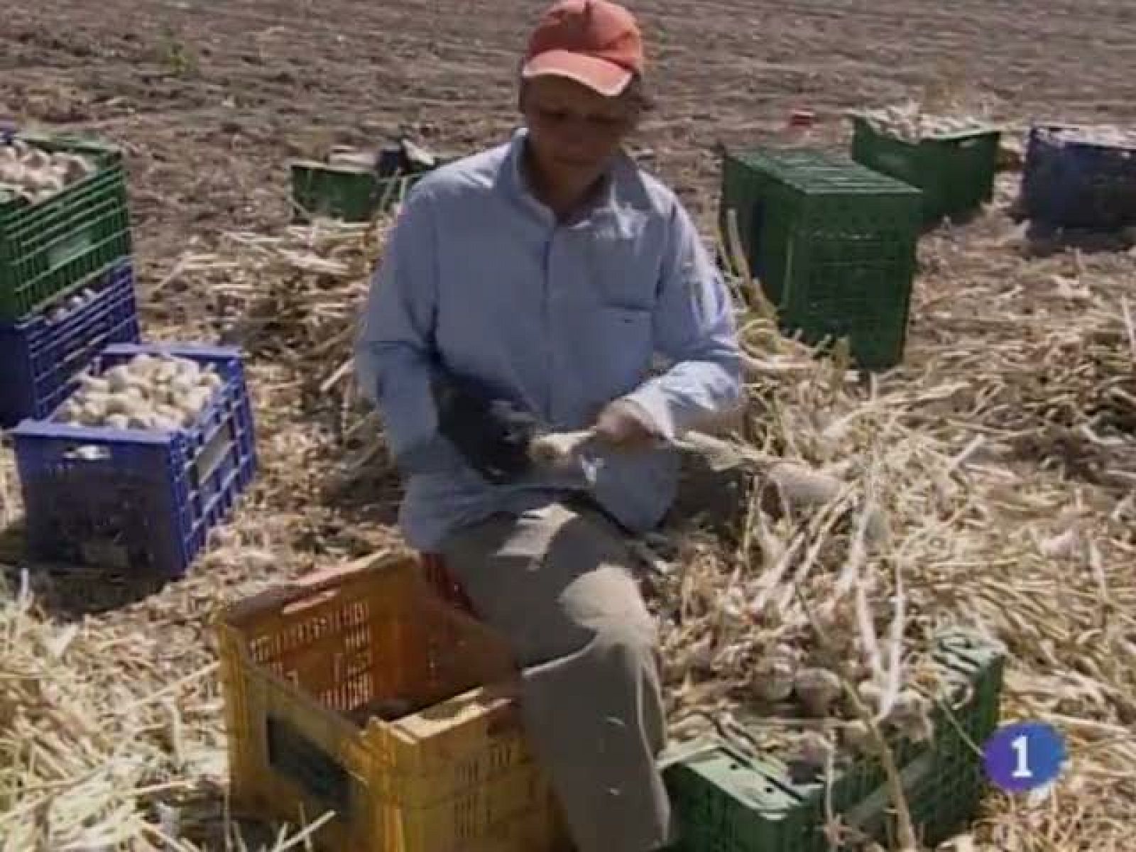 Noticias de Castilla-La Mancha: Noticias Castilla La Mancha en 2' (17/05/2011) | RTVE Play