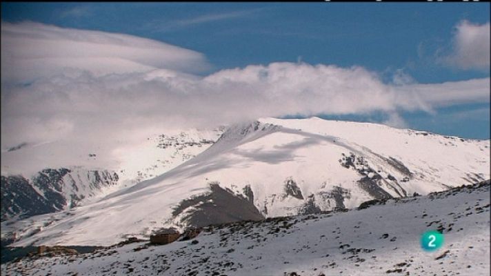 Biodiario - Biodiario - 17/05/11