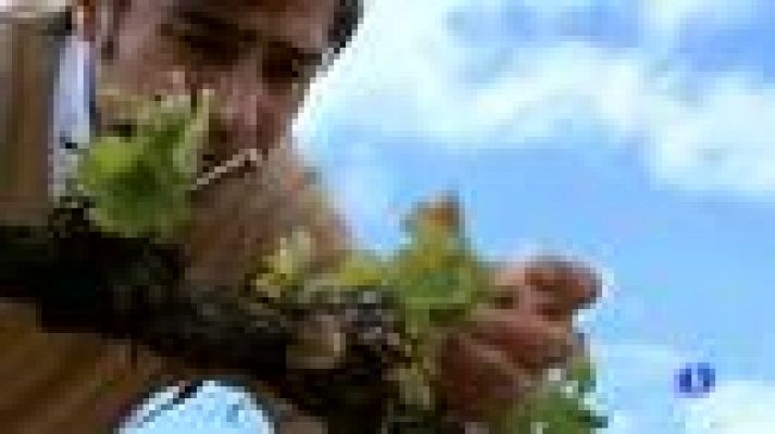 Destino: España - Navarra III - Fabio