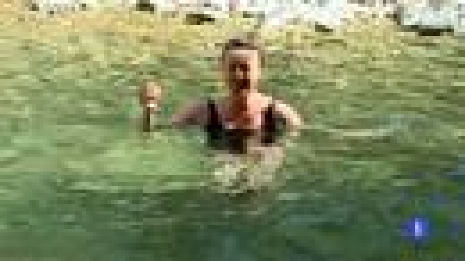 Destino: España - Navarra III -  Cecile