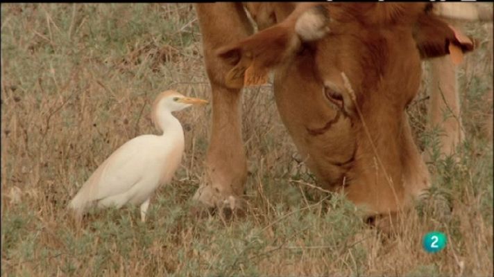 Biodiario - Biodiario - 18/05/11