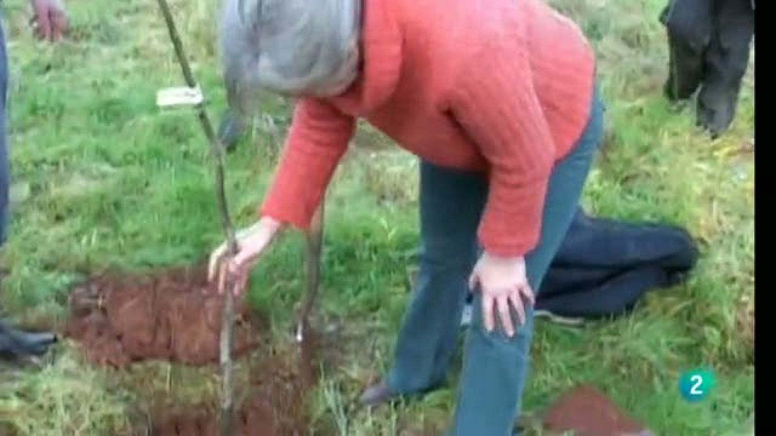 Para Todos La 2 - Pueblos en transición