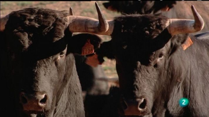 Biodiario - Biodiario - 19/05/11