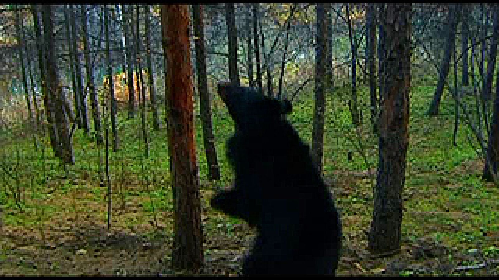 Cambio global I: El reto es actuar