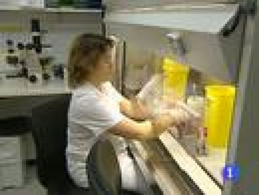 Telediario 1 - Vacuna preventiva del sida