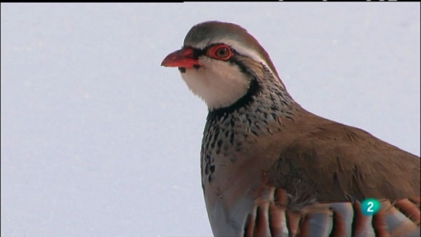 Biodiario - 20/05/11 - Ver ahora