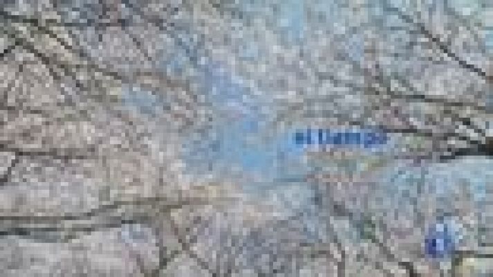 El tiempo - Tiempo seco y soleado