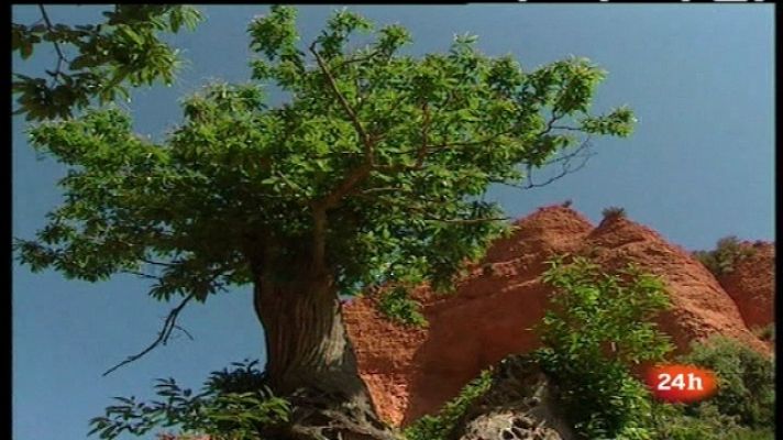 Zoom Tendencias - El Bierzo. Las manos, protagonistas