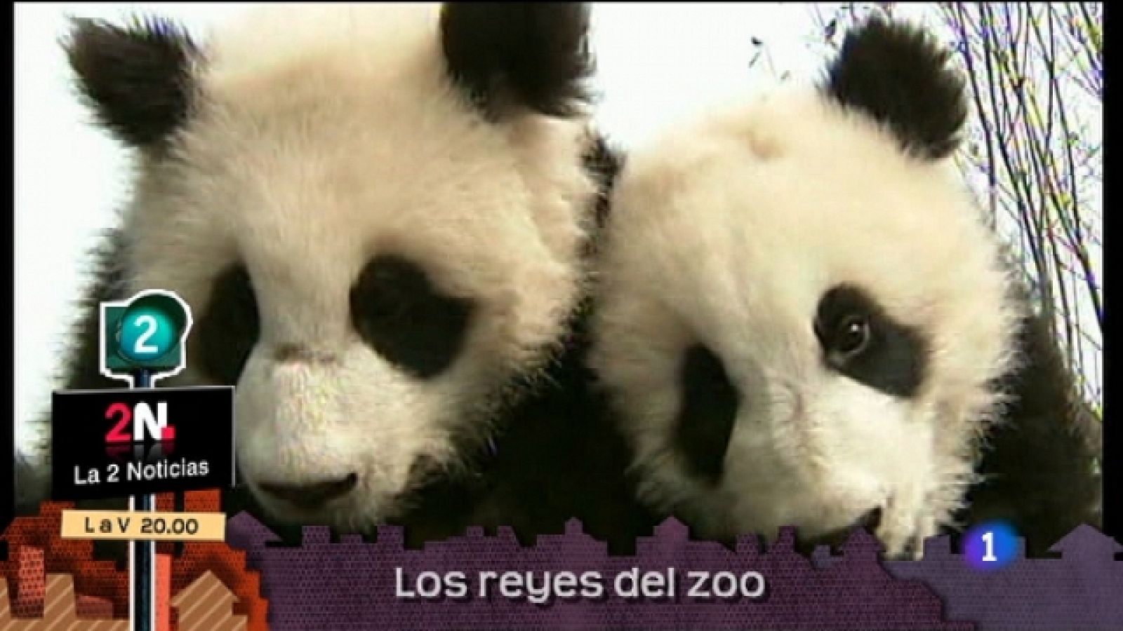 Lo que hay que ver - 22/05/11 - Ver ahora 