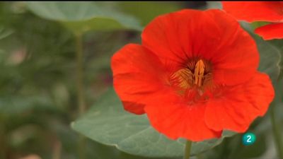 El cultivo natural de la tierra