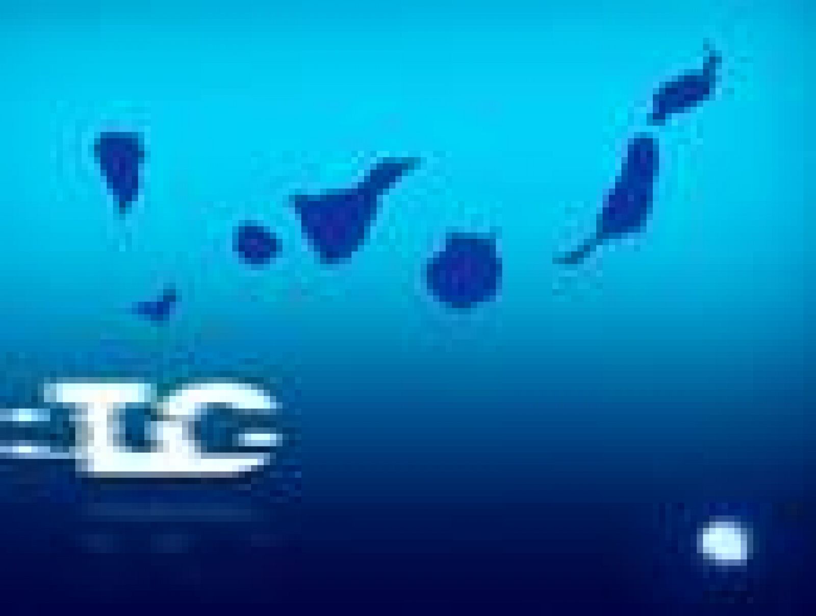 Telecanarias. Fin de semana 22/05/2011 | Ver