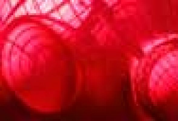 Telediario 1 - Las esferas de 'Leviathan' en París